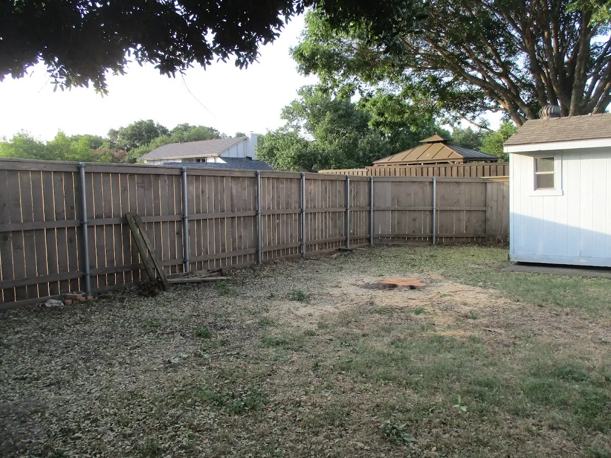 Cleared yard after professional tree removal in Rancho Palos Verdes